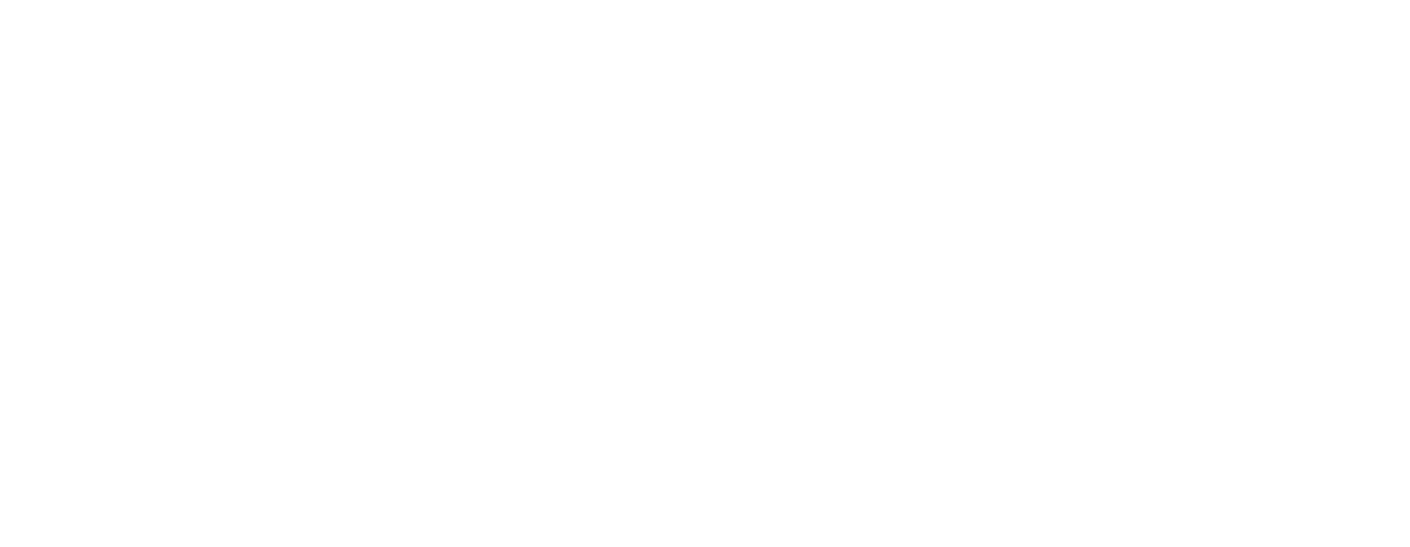 AmCham Slovenia logo